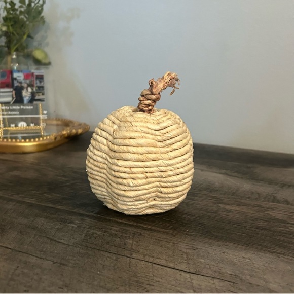 Target Threshold Natural Fall Boho Pumpkin - Picture 4 of 8